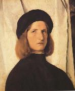 Lorenzo Lotto Young Man Before a White Curtain (mk45) oil painting picture wholesale
